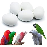 FOIBURELY 5 Pcs Solid Parrot Plastic Eggs Hatching Eggs Mini Macaw Amazon Cockatoo African Grey Eclectus. Trick the Birds to Stop Laying Eggs, Fake Eggs（37mm*27mm）