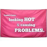 Seekamit Looking Hot & Causing Problems Flag Pink Funny College Dorm for Girls Cool Girl for Bedroom Room Wall Meme Flags Banner 3x5Ft Indoor Outdoor Garden