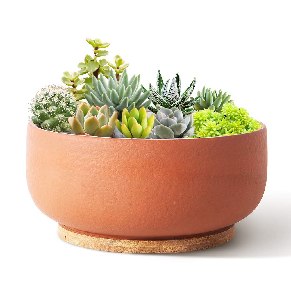 SQOWL Terracotta Planter Pot for Succulent 20CM Pottery Pot Round Planter Cactus Clay Flower Pot with Drain Hole and Bamboo Tray Indoor Outdoor