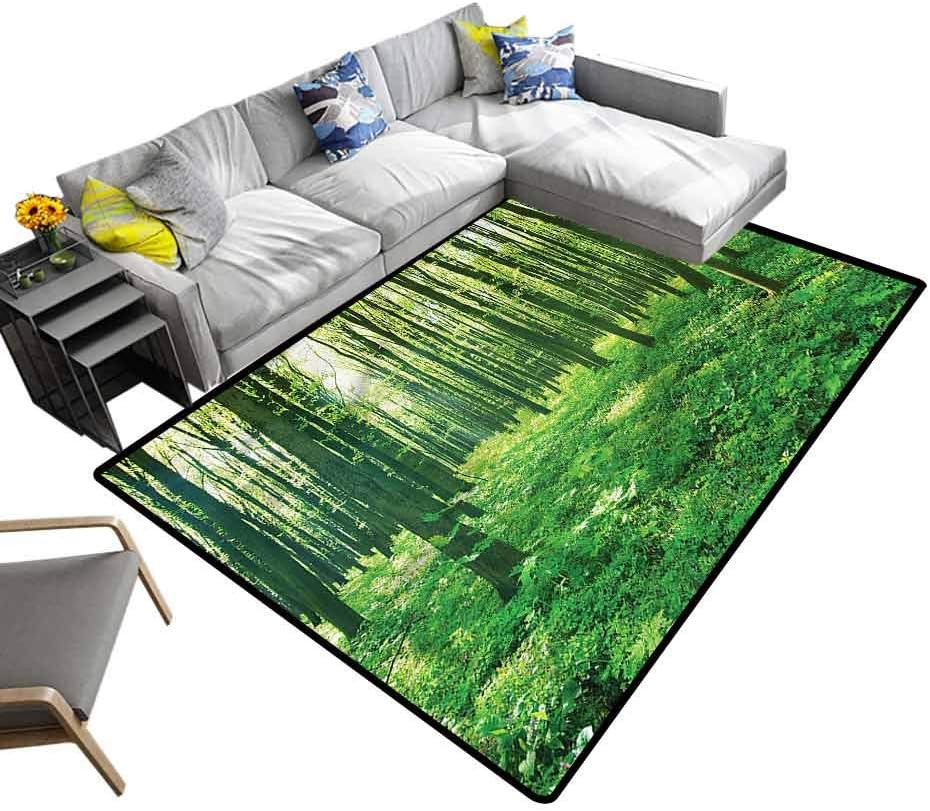 Forest, Nursery Area Rug Woodland in Summer Season