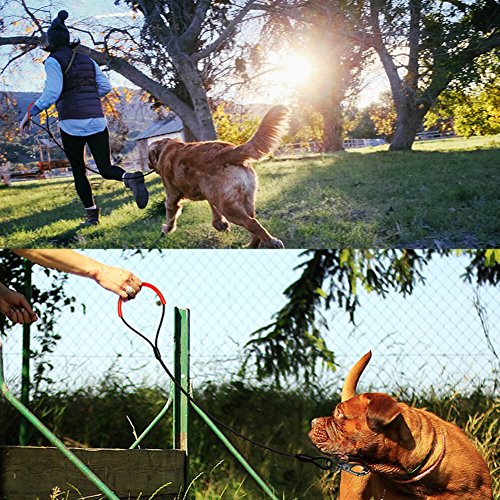 WATFOON - Metal Dog Leash【2 Pack】Chew Proof Steel Cable Dog Leads for Large Dogs (Short Leash:2.6FT / Long Leash:6.0FT)