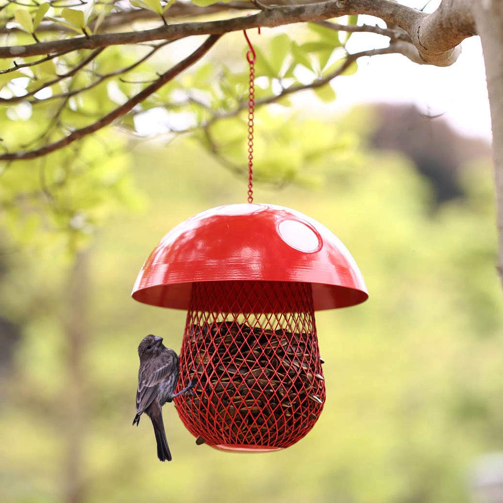 Amazon Com Dlh Bird Feeder Wrought Iron Ornaments Bird Feeder