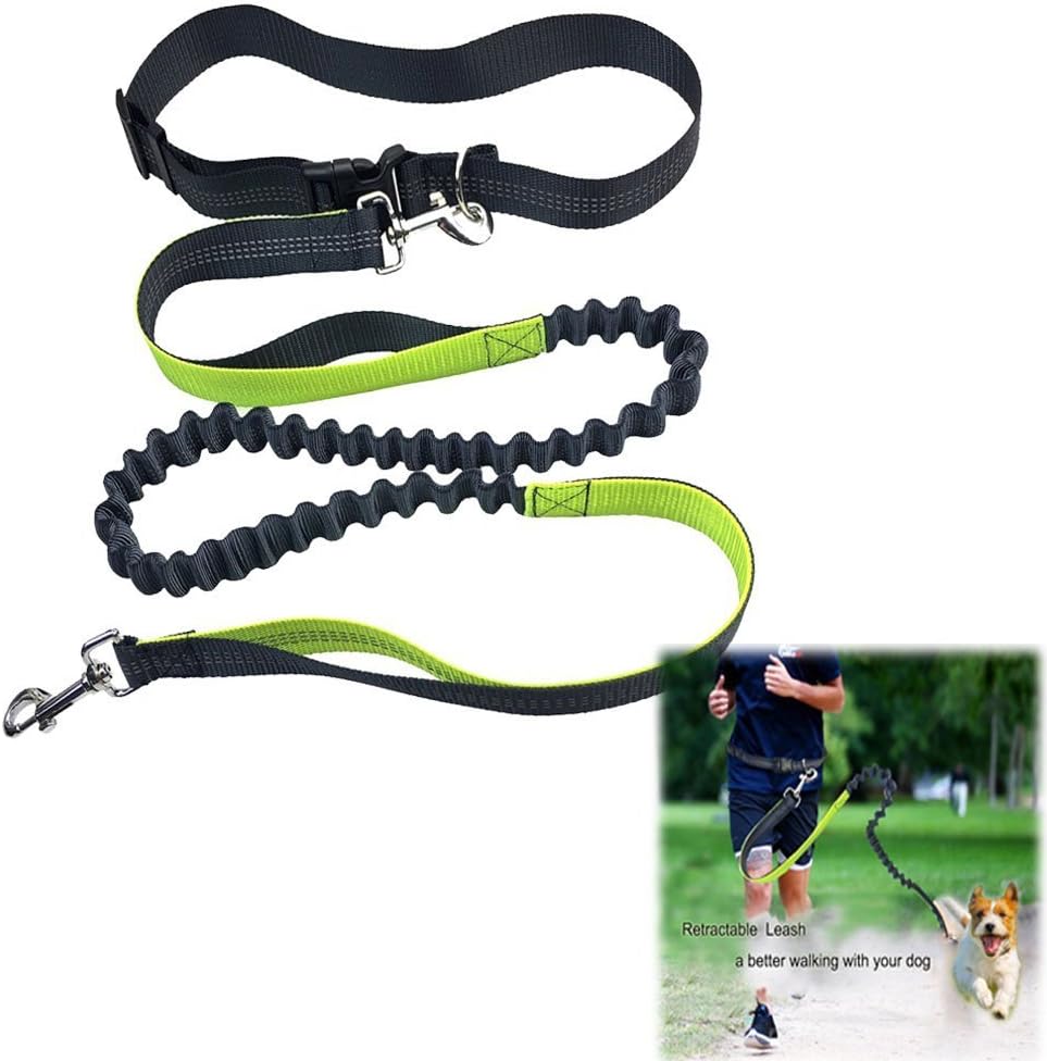 Hands Free Dog Leash Adjustable with Waist Belt Reflective