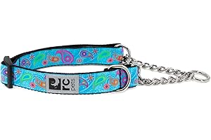RC PET PRODUCTS RC Pets 1" Martingale Training Collar, Medium, Tropical Paisley