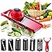 Vegetable Chopper Mandoline Slicer,6 in 1 mandoline slicer cutter chopper and grater with Hand Protector, Interchangeable Blades - for Cutting Onions, Potatoes, Carrots and Other Fruits