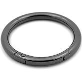 O Ring Spring Opening Snap Trigger Clip Buckle 2 PCS Charm Purse Making (Gunmetal,2")