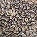Fresh Roasted Coffee, Organic Ethiopian Sidamo | Fair Trade, USDA Organic, 100% Single Origin, Kosher | Light Roast 2 lb (32 oz) Whole Bean