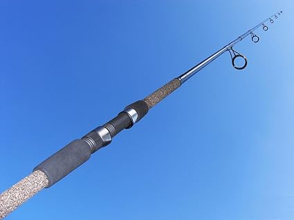surf fishing rods amazon