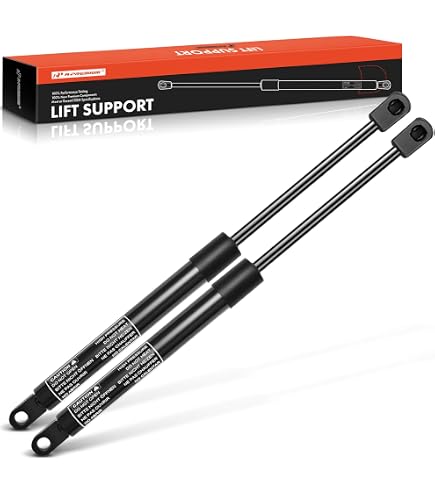 Amazon.com: A-Premium Tailgate Rear Hatch Lift Supports Shock