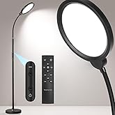 Assemer LED Floor Lamps with Remote Dimmable Timing Eye Care Standing Reading Lamp for Living Room Bedroom Office