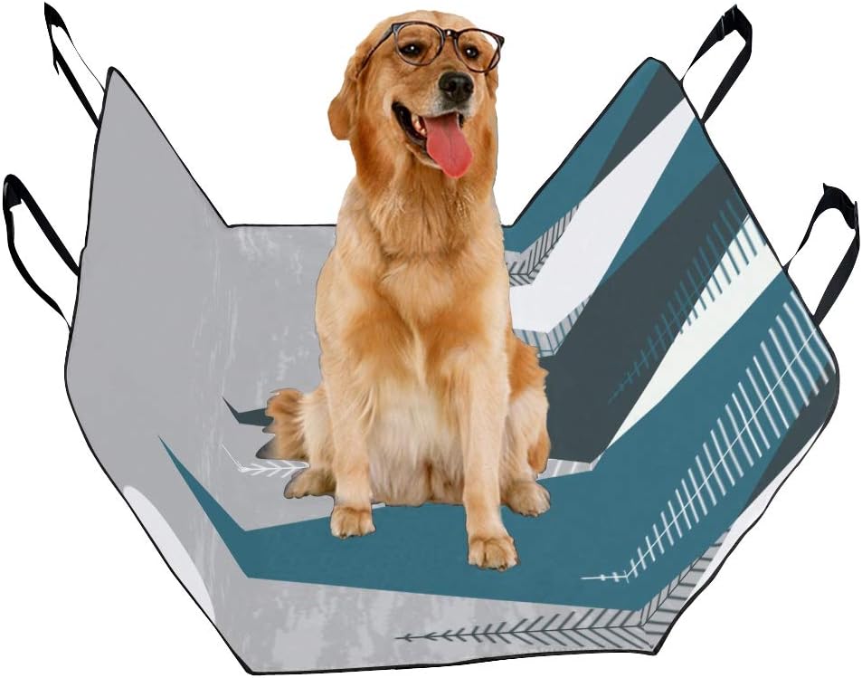 dogs in cars in winter