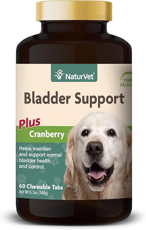 small dogs that dont shed and stay small