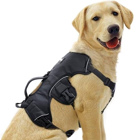 dog harness with handle for lifting