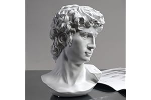 David Statue Greek Bust,Head Bust Statue for Roman Home Decor,Coffee Table Decor White,Greek Mythology Decorfor Bedroom/Livin