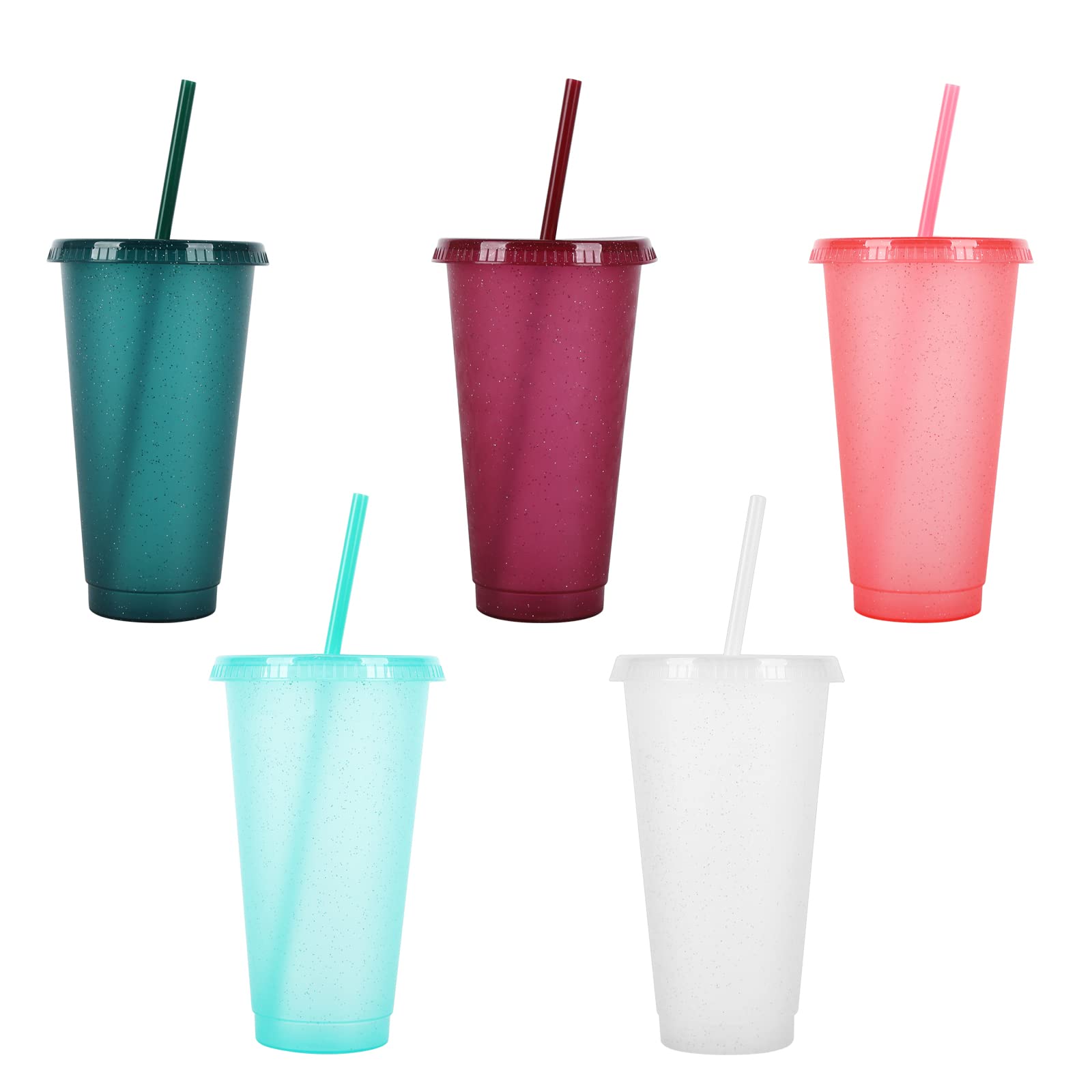 TSLBW Reusable Plastic Cup 5 Pcs Drinkware Tumblers Coloured Acrylic Cups Tumblers with Lids and Straws Plastic Bulk Iced Plastic Cold Water Tumblers Iced Coffee Cups Travel Mug Party Tumbler