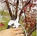 Ratchet Pruning Shears - Sharp Garden Hand Pruners - Easy Ratcheting Action - Best Anvil Gardening Secateurs for Small to Medium Jobs - Simple to Lock or Unlock - 100%