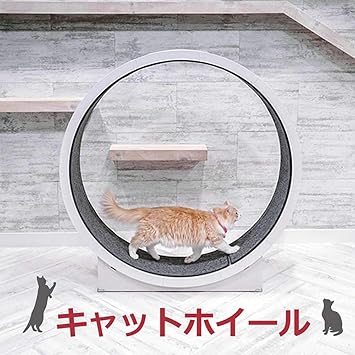 Amazon キャットホイール キャットウォーク キャットタワー Cat Wheel 猫 回転車 猫 回し車 猫ホイール 猫用ルームランナー 猫用ランニングマシーン 猫ジム 室内飼い 猫 健康管理 猫 運動不足解消 猫 ストレス解消 猫 ダイエット 猫 爪とぎ 猫のおもちゃ ディープ