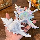 BARTOSI Shell Claw Clips Conch Hair Clips Large Hair Claw Barrette Mermaid Hair Accessories for Women and Girls (Pack of 2)