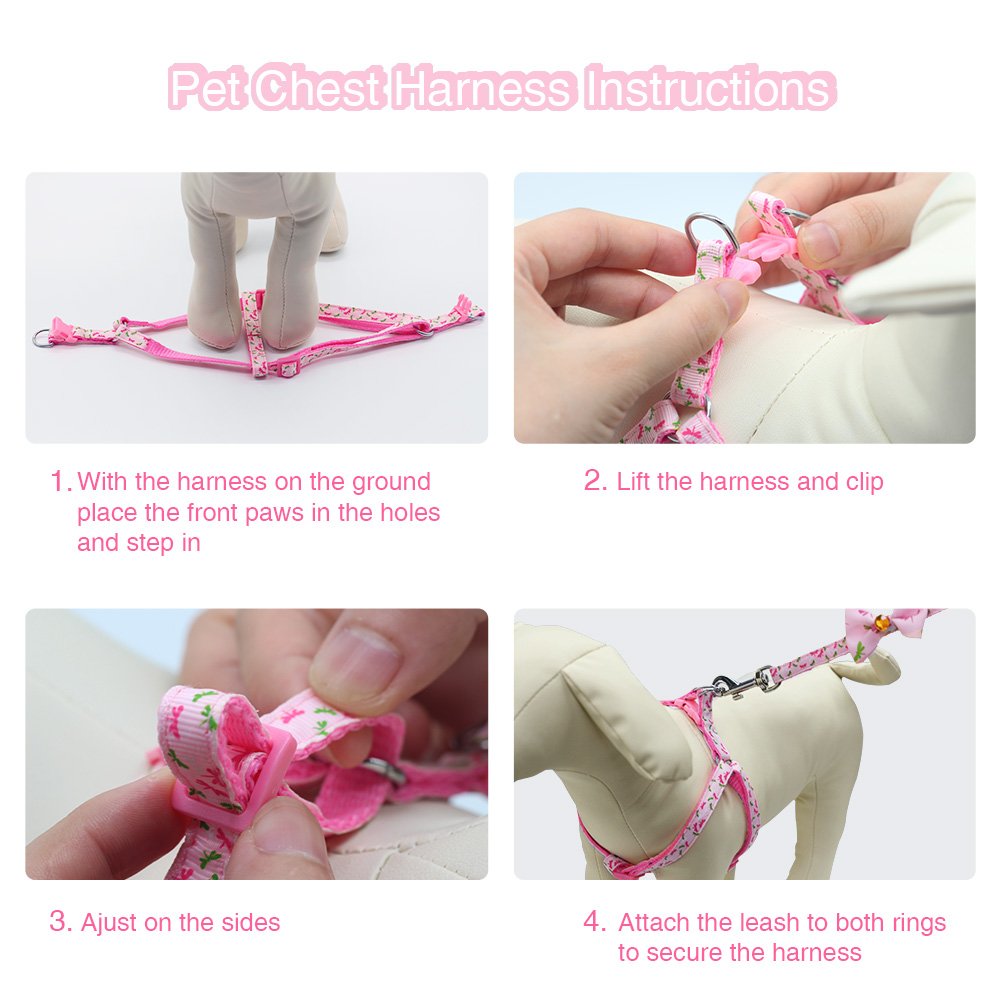 Pettorina Cane con Guinzaglio di Nylon, Durevole Regolabile Imbracatura per Cani, Guinzaglio per Portare il Cane a Passeggio, Verde