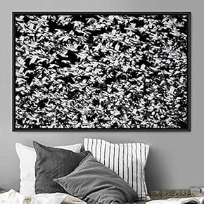 signwin Framed Canvas Wall Art Flying Together Birds...