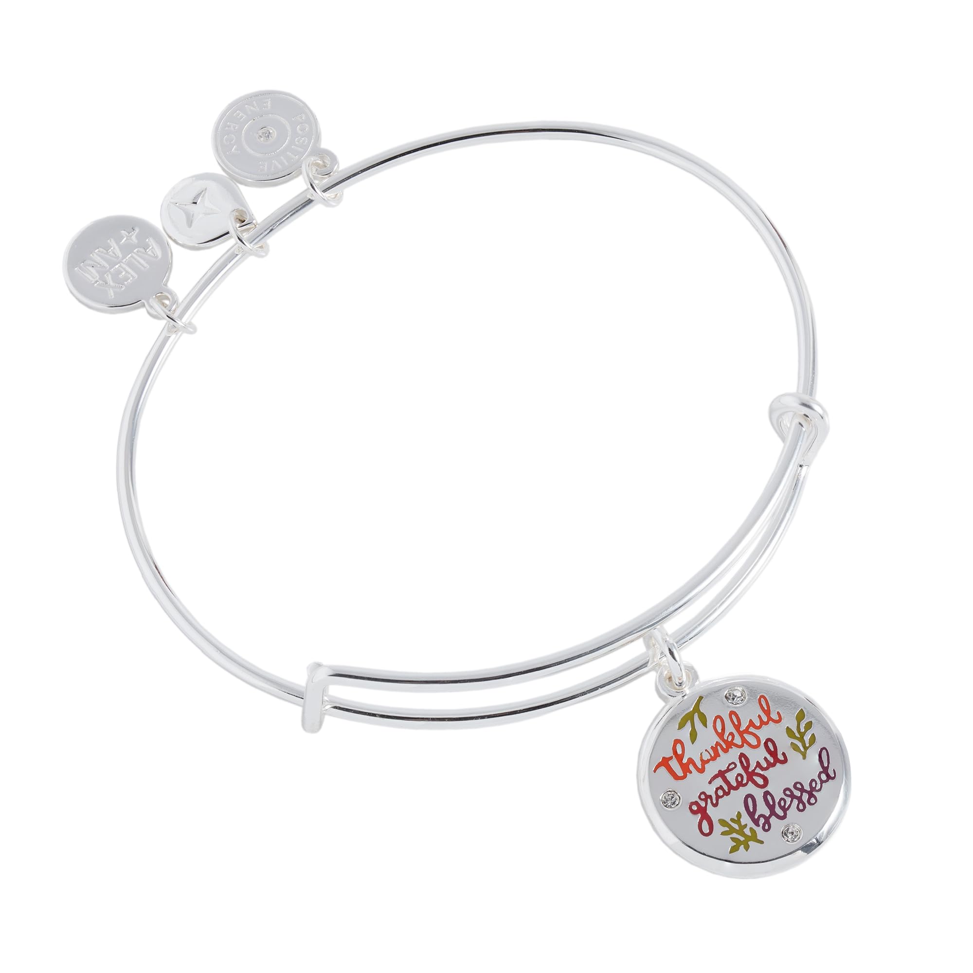 Photo 1 of Alex and Ani Thankful Mantra Charm Bangle