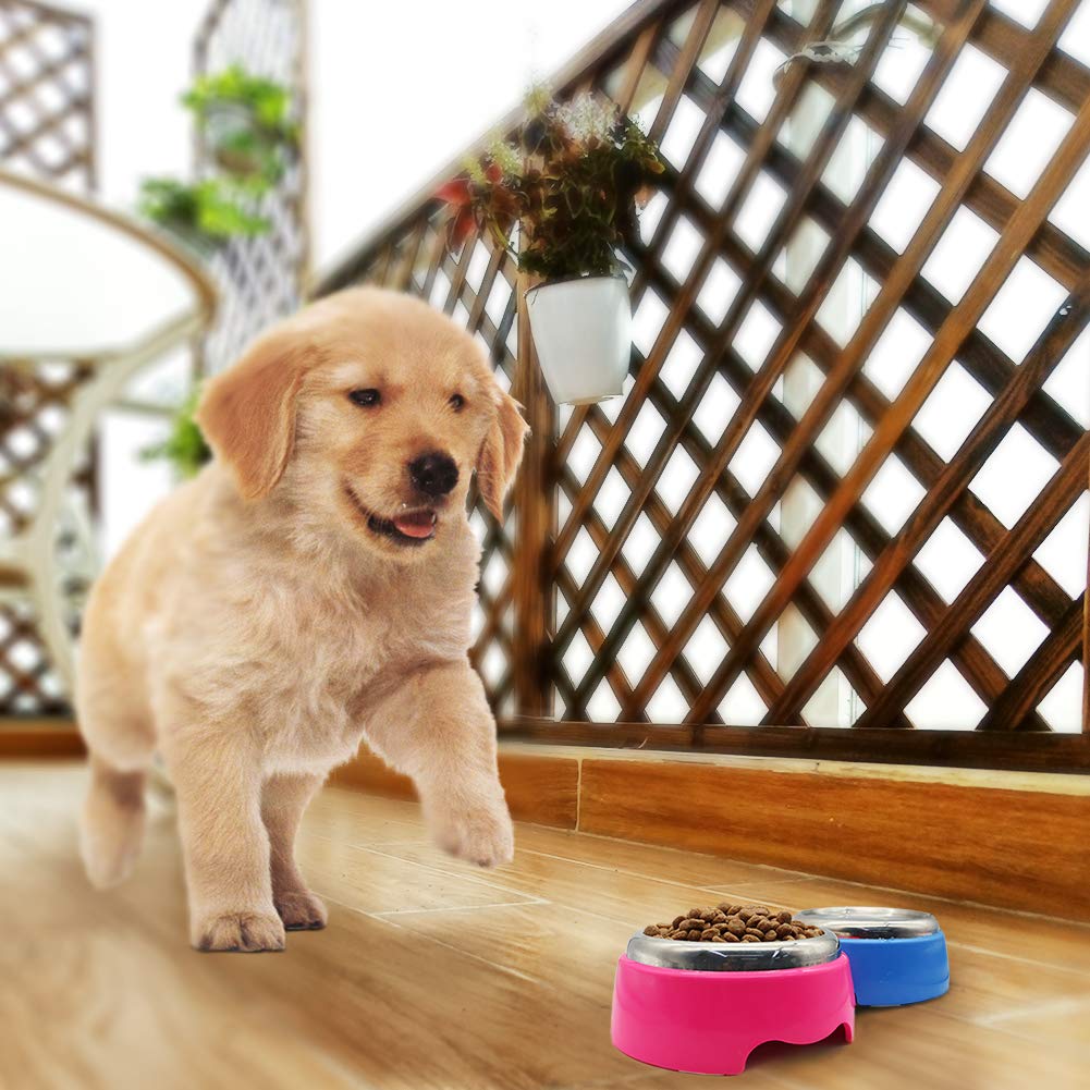 Ciotola per Cani Gatto Set Ciotole Acciaio Inox Antiscivolo Metallo Due Ciotole Cibo Acqua per Animali Domestici Cane, Set di 2 (Rosa e Blu)