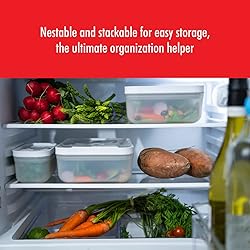 ZWILLING Fresh & Save Plastic Lunch Box, Airtight