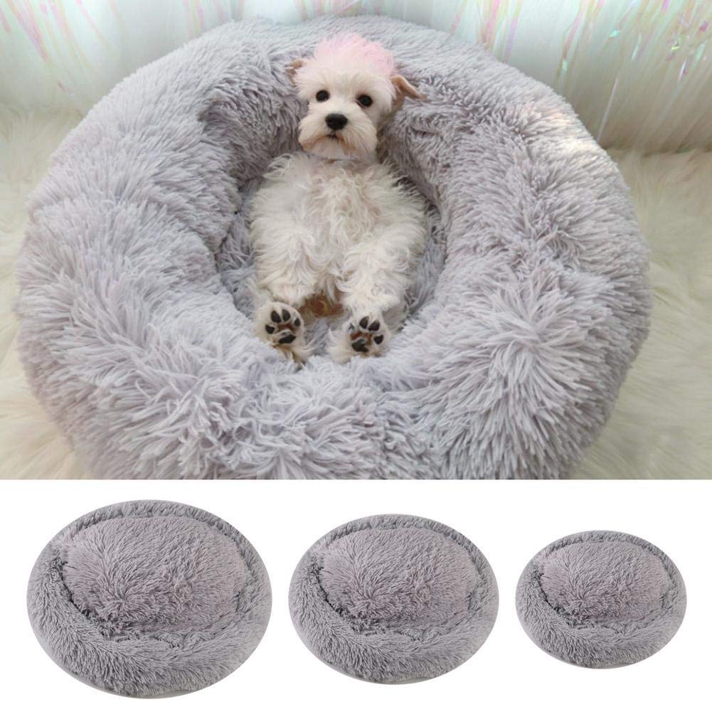 pet lounger bed
