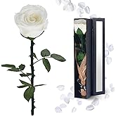 YAMPP Preserved Flowers Gifts for Women: Mothers Day Birthday Christmas Anniversary Wedding Gift for Mom Girlfriend Wife Grandma Forever Rose for Her White Single Rose