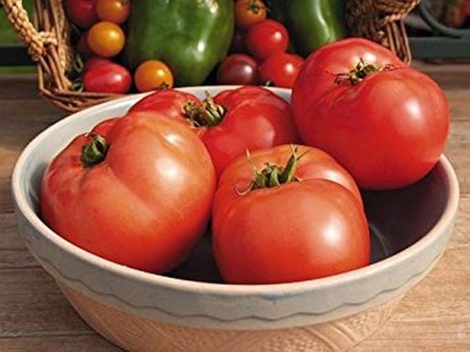 Amazon.com : Jetsetter Tomato Seeds (25 Seed Pack) : Garden & Outdoor
