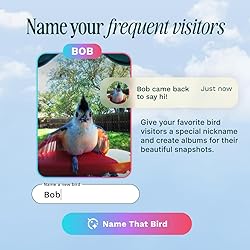 BIRD BUDDY® Original Smart Bird Feeder with