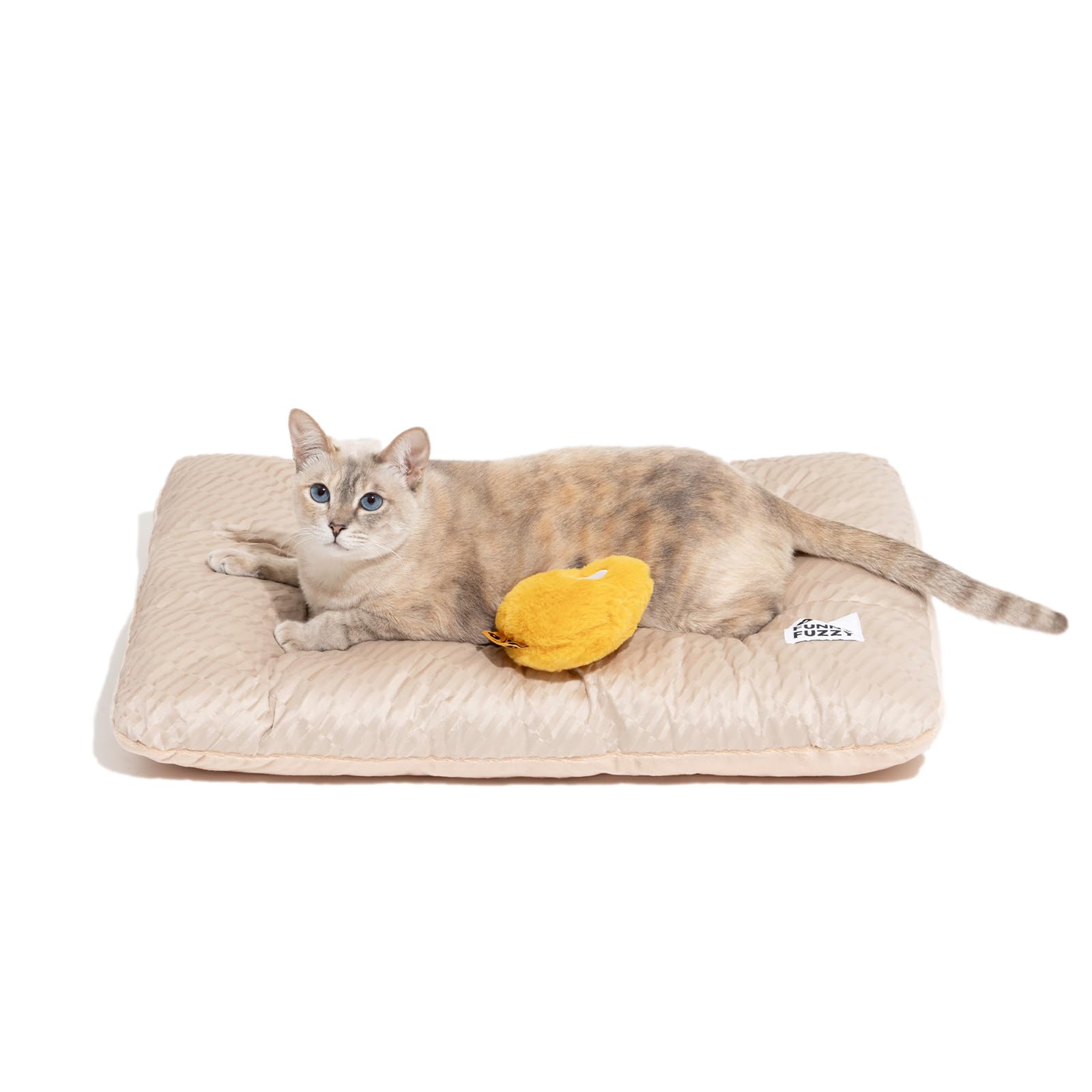 Curated visual reference: Picture Idea: Funny Fuzzy 2 In 1 Dog Bed Crate Pad Mat