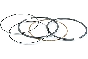 Briggs & Stratton 794126 Ring Set