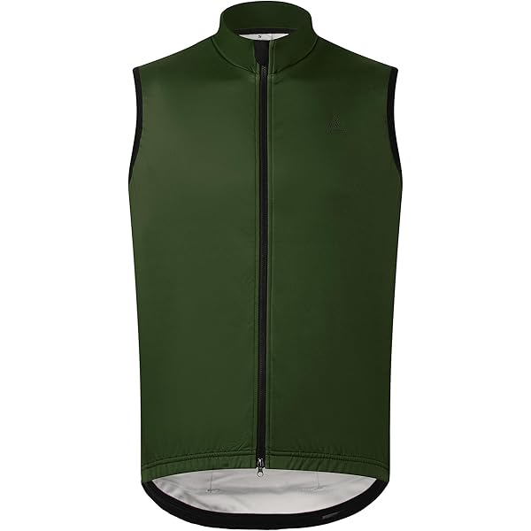 Gilet Thermique Giordana Silverline Homme Taille M – Occasion – Livraison Gratuite