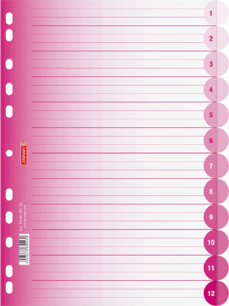 Brunnen 106659523 File Dividers Colour Code Ring Binders/Folders, Polypropylene, A4, 12 Tabs Pink