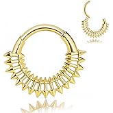 MOQIKAKA 16g G23 Titanium Septum Rings: Novelty Nose Ring Hoops, Hinged Segment Nose Lips Helix Cartilage Clicker Hoop Earrings Daith Piercing Rings for Women Men 8mm 10mm