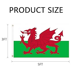 GSYLPFT Wales Flags for Outside 3x5 Welsh Flag
