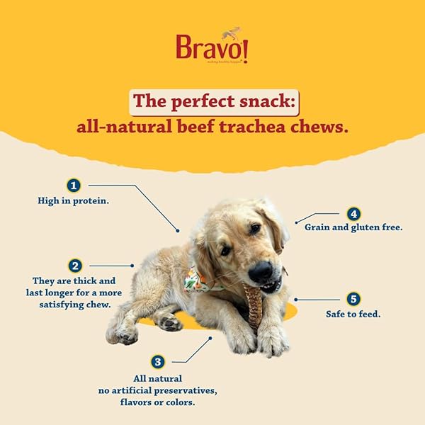BRAVO! BEEF TRACHEA DOG CHEWS, 8 INCH (2 COUNT) FOR MEDIUM AND LARGE BREED DOGS, DRY ROASTED, HIGH PROTEIN, NATURAL SOURCE OF CHONDROITIN AND GLUCOSAMINE