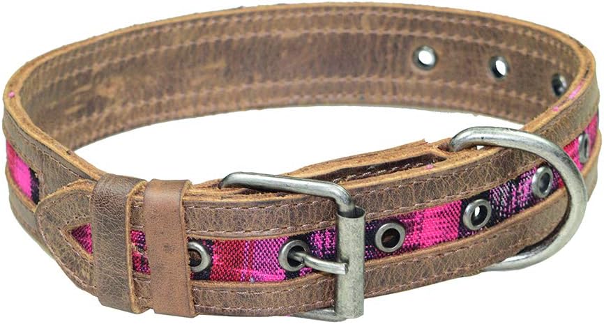 mayan dog collar