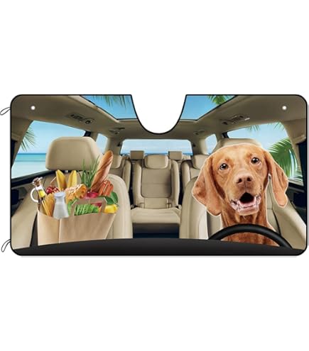 Importance of Sunshades for Pets in Cars: Protect and Comfort