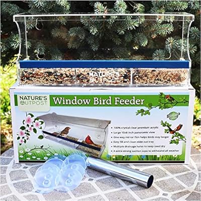Window Bird House Crystal Clear Acrylic With Removable Tray Drains