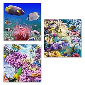 Canvas Wall Art Tropical Theme Sunshine...