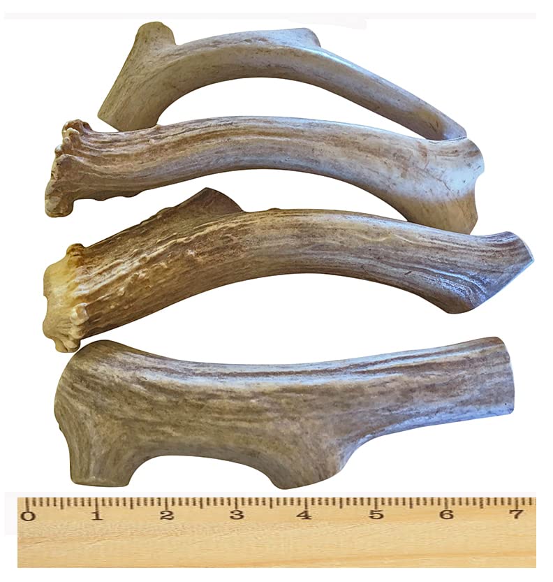 WhiteTail Naturals USA Prime Bulk Deer Antlers for Dogs (1 Pound Pack