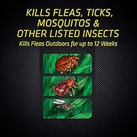 black flag flea and tick yard treatment