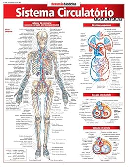 Sistema Circulatorio Avancado Vincent Perez 9788577113033 Amazon Com Books