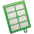 Electrolux S-filter HEPA Vacuum Filter, Green
