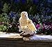 Moonrays 91579 Snowy Owl Pair Garden Statue with Solar Powered White LED, White