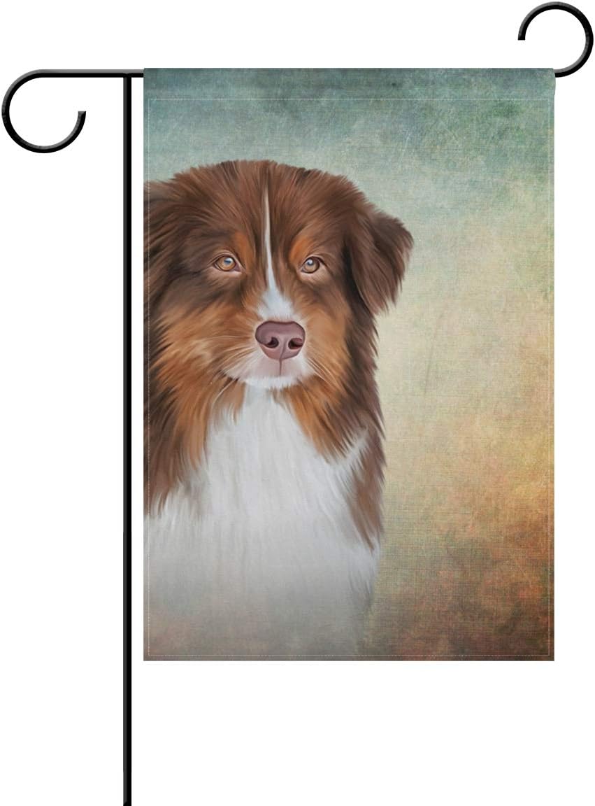 liver australian shepherd