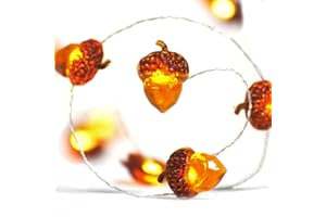 BOHON Thanksgiving Decorations Acorn Lights String 10ft 40 LEDs Fairy String Lights Battery Operated with Remote Fall Lights for Home Autumn Garland Bedroom Christmas Tree Halloween Party Decor