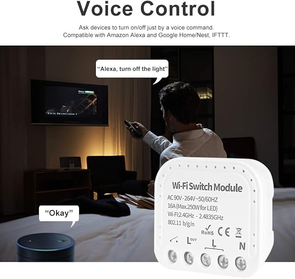 Lepeuxi Mini WiFi Smart Light Switch Mdulo de Interruptor de Bricolaje de 2 vas eWeLink App Control Remoto Compatible con Alexa Google HomeNest IFTTT